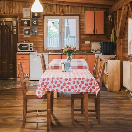 Agroturystyka Pod Modrzewiami Nowy Tomyśl Eksteriør bilde