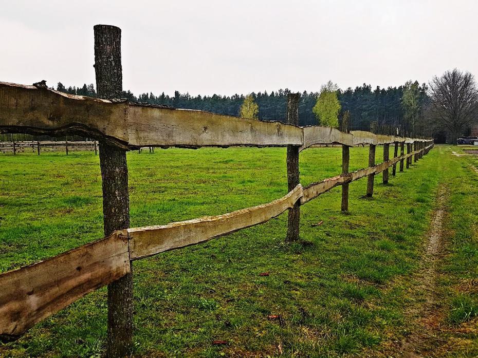 Agroturystyka Pod Modrzewiami Nowy Tomyśl Eksteriør bilde