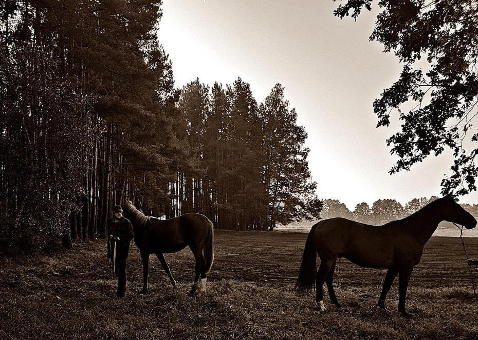 Agroturystyka Pod Modrzewiami Nowy Tomyśl Eksteriør bilde